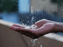 Rain Water Harvesting